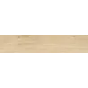 Kalimantan érable